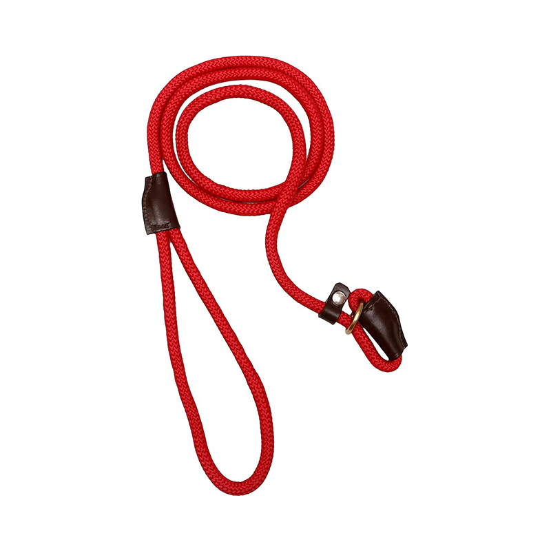 Slip Leash with Adjustable Stopper